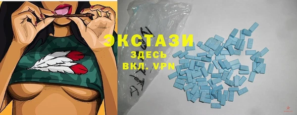 мдпв Долгопрудный