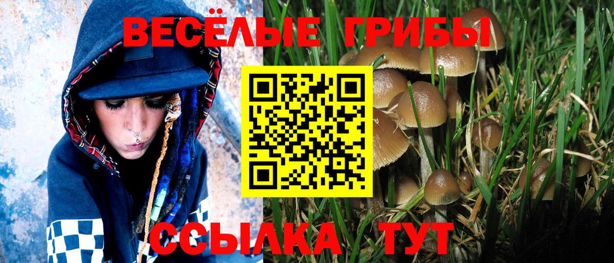 Галлюциногенные грибы ЛСД  Вход с VPN  где купить наркотик  Норильск 