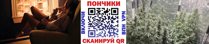 Шишки марихуана сатива  цена   гидра маркетплейс  Норильск 